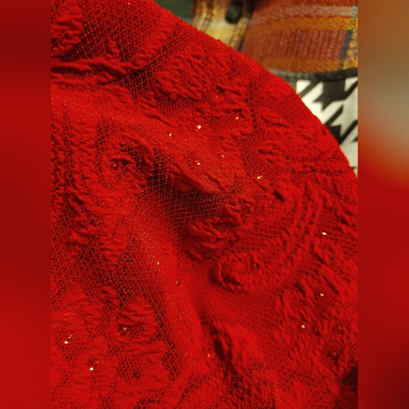 Scarlet Red Prom or Formal Gown - Picture 5 of 6